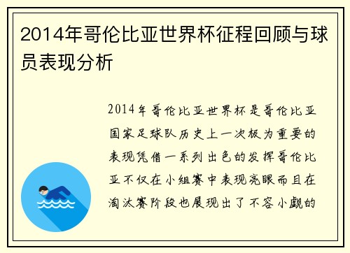 2014年哥伦比亚世界杯征程回顾与球员表现分析